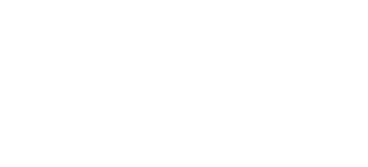 Logo METICS